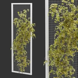 Fence Ivy Autumn Plant AQ