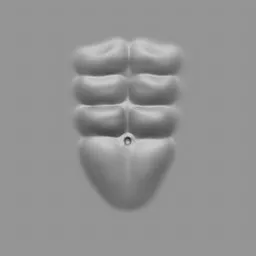 ER_Muscle brush 37 for sculpting defined male muscle anatomy in Blender 3D models