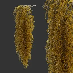 Hanging Autumn Plant