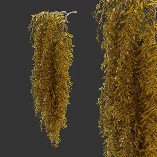 Hanging Autumn Plant