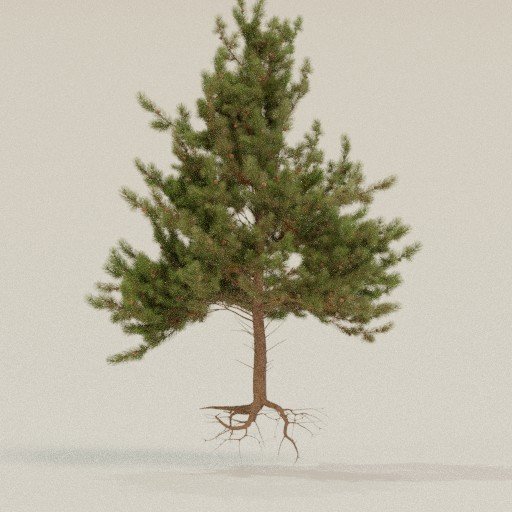 Pine Tall | FREE 3D Tree Models | BlenderKit