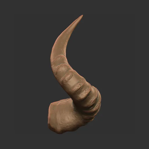 Twisted Ram Horn
