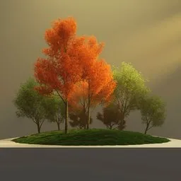 Acer Tree Formation