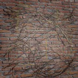 Ivy Creeper Branches 2M 02