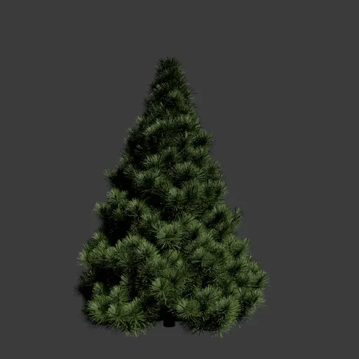 Pine tree