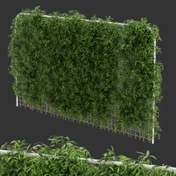 Fence Ivy Simple Plant AQ