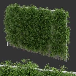 Fence Ivy Simple Plant AQ