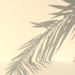 High-quality tropical palm leaf shadow overlay for 3D rendering in Blender, ideal for adding realistic lighting effects.