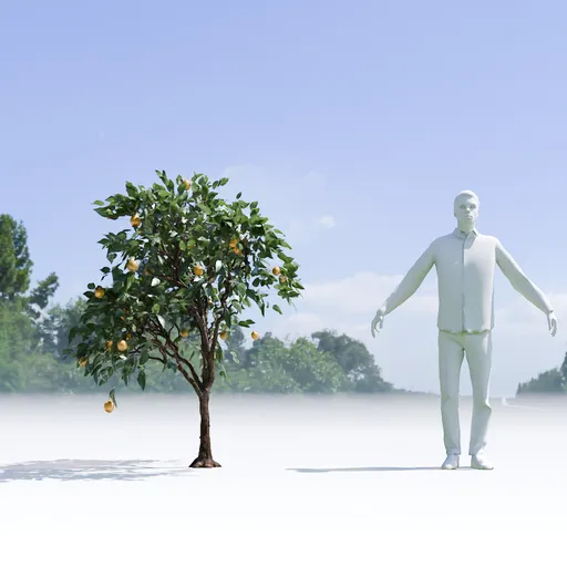 Lemon Tree
