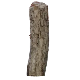 Realistic textured 3D model of cut tree trunk ideal for Blender rendering and 3D visualization.