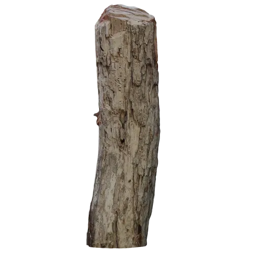 Realistic textured 3D model of cut tree trunk ideal for Blender rendering and 3D visualization.
