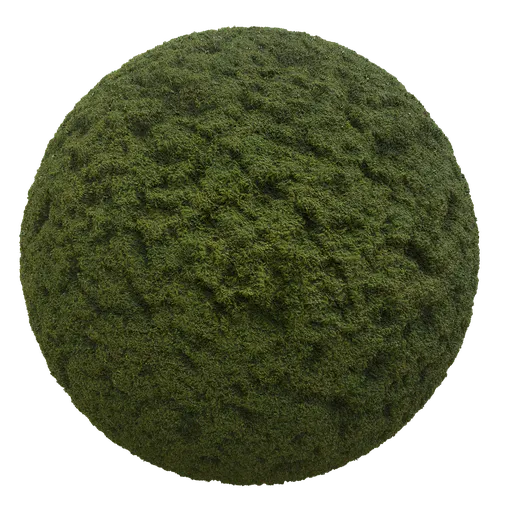 Moss