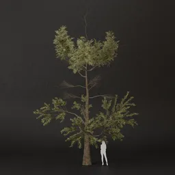 SJ-Breezy Crown Pine Tree