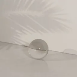 Minimalist Palm Shadow Studio