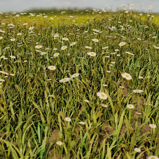 Grass with flowers