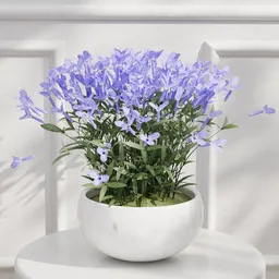 Purple Flower