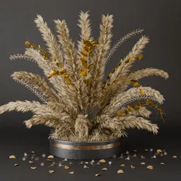 SJ-elegant tall pampas stems