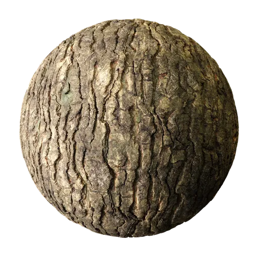 Tree Bark