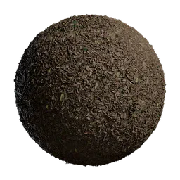 Deciduous Forest Ground