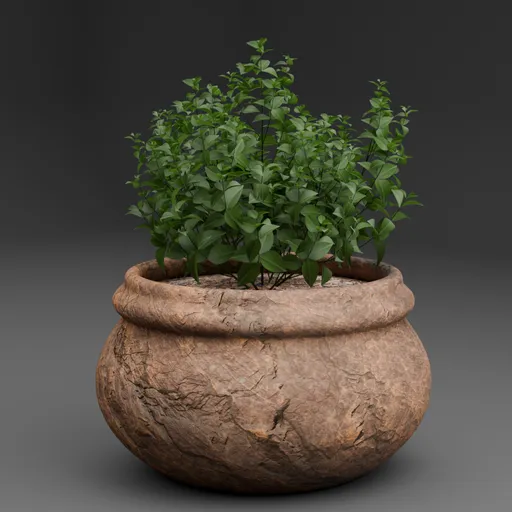 Green Bush Plant