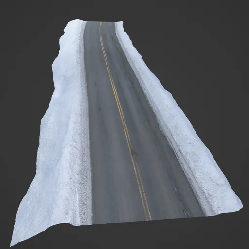 Road in Winter Photoscan