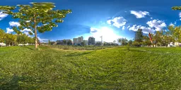 Urban Greenfield Morning