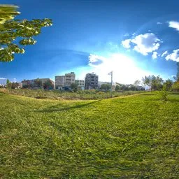 Urban Greenfield Morning