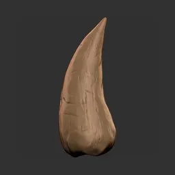 Ancient Creature Tooth