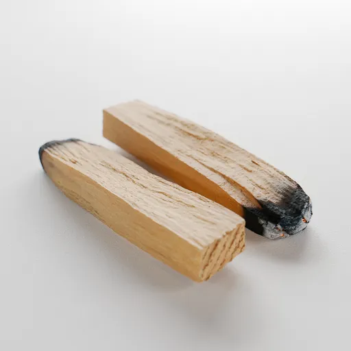 Palo Santo Incense Wood Stick - Burned