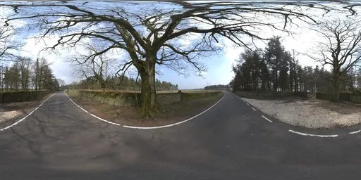 Tree By The Road