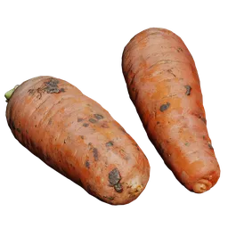 Highly detailed 3D carrot model with realistic textures, suitable for Blender rendering and animation.