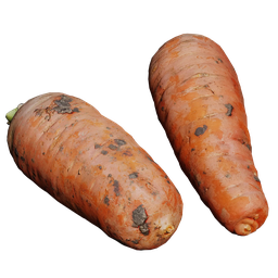 Scan Carrot