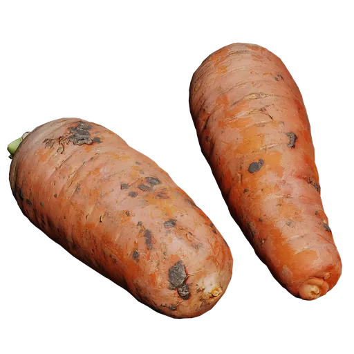 Highly detailed 3D carrot model with realistic textures, suitable for Blender rendering and animation.