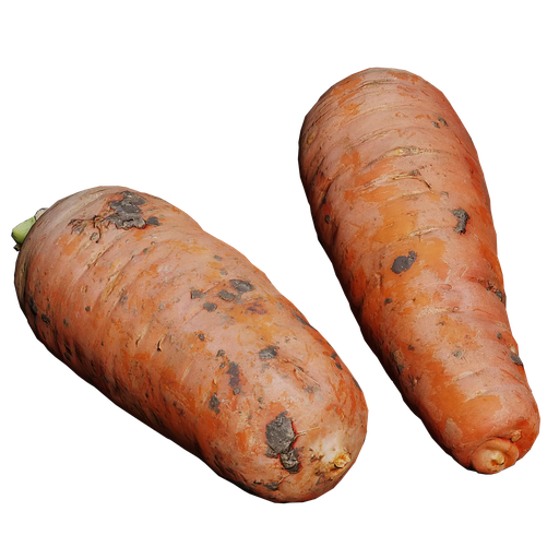 Scan Carrot
