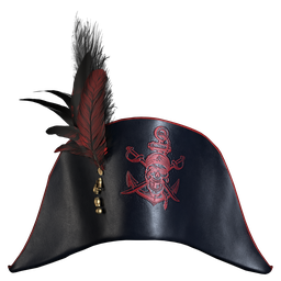 Pirate Hat 7