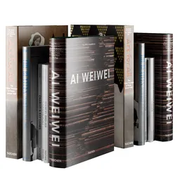 Decorative Book Set 1