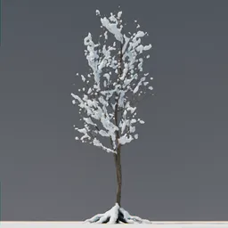 Snow Tree 03