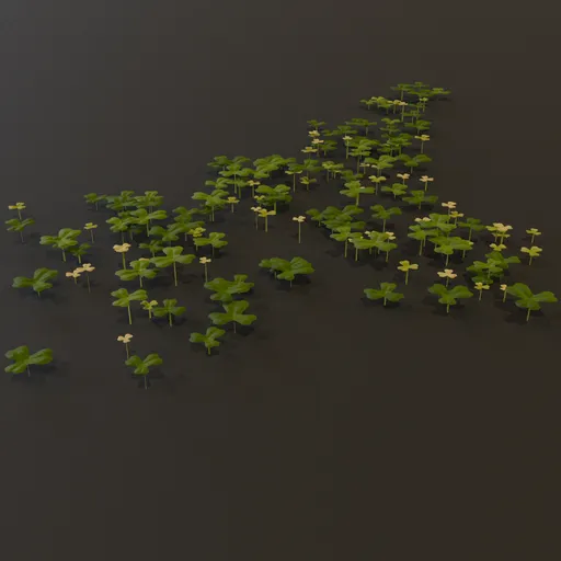 Grass Clover Grownd Cover Med