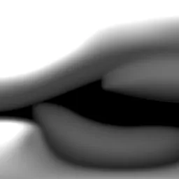 Studio Black and White