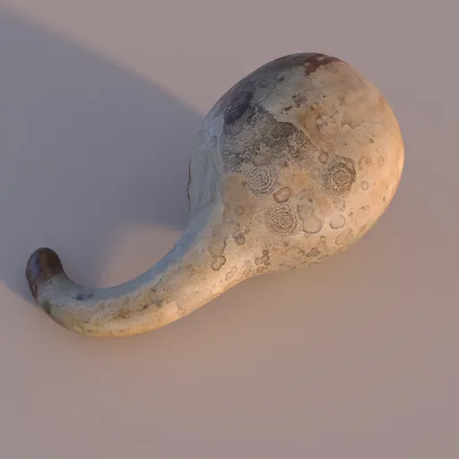 Dried Pumpkin