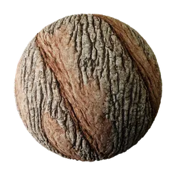 Highly detailed 4K PBR tree bark texture for realistic 3D rendering in Blender and other 3D applications.