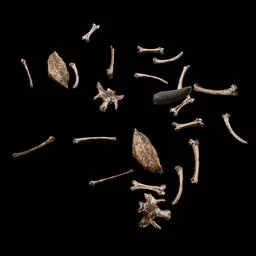 Old Ground Debris