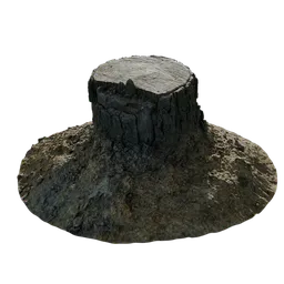 Pine Stump