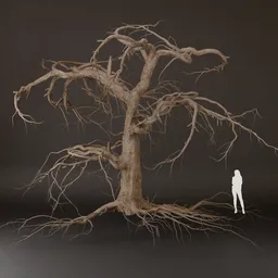 SJ-Dried Nature Tree Sculpture