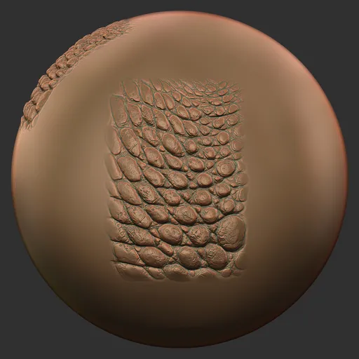 Raised Crocodile Scales