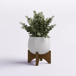 Potted Decorative Plant