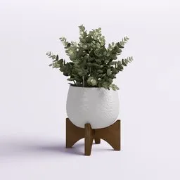 Potted Decorative Plant