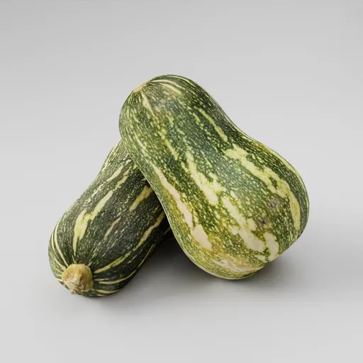 Green Squash - scan