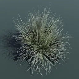 Grass Foothill Bear Large