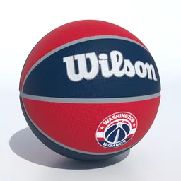 Wilson Washington Wizards Basketball